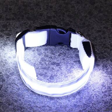 Glow in the dark collar - Keep your pet safe and seen after dark